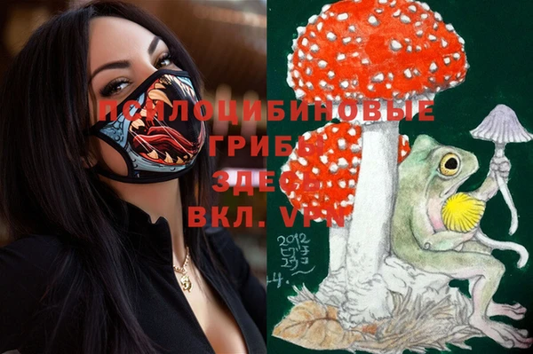 Альфа ПВП Бронницы