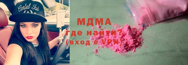 прущие грибы Вязьма