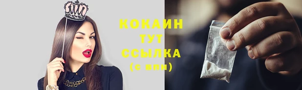 СК Вязники