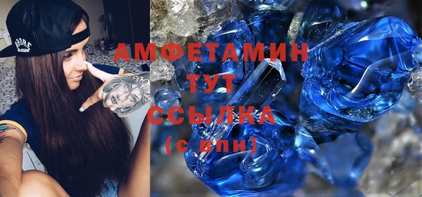 прущие грибы Вязьма