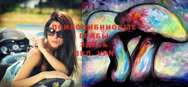 МДПВ Верея