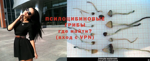 спайс Вяземский