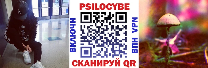продажа наркотиков  Зуевка  Псилоцибиновые грибы MAGIC MUSHROOMS 