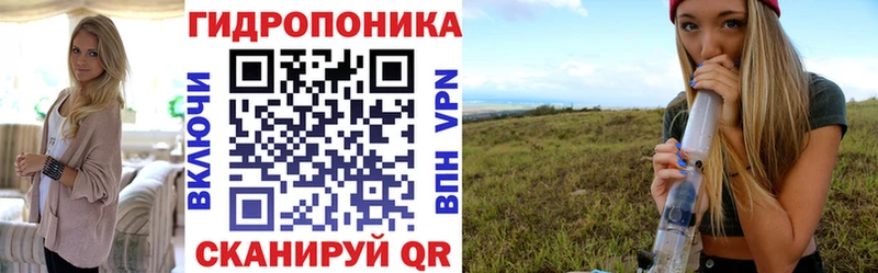Конопля гибрид  Зуевка 